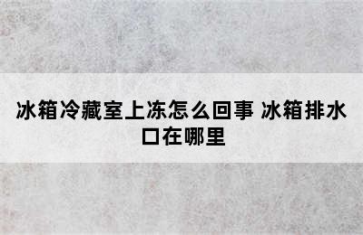 冰箱冷藏室上冻怎么回事 冰箱排水口在哪里